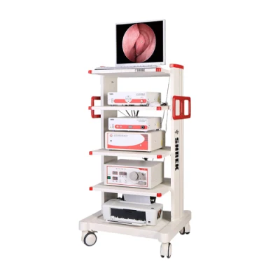 Endoscopic Trolley Endoscopic Tower Endoscopic Equipment for Ent